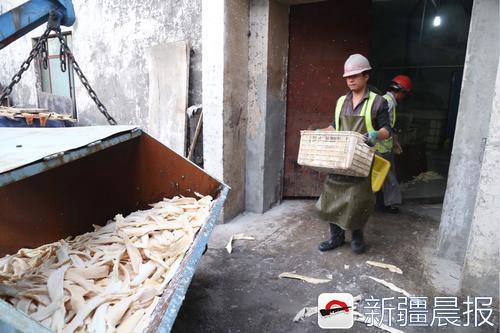 非法生产加工厂现场。