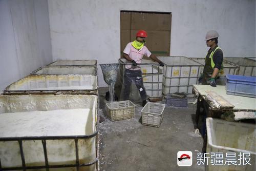 非法生产加工厂现场。